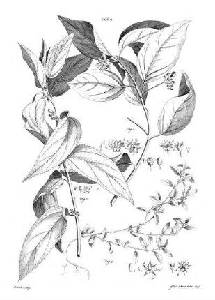 Tab 12