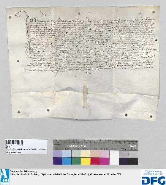 Hanns Pflug, Herr vom Rabenstayn auf Bettschaw, deutscher Lehenshauptmann der böhmischen Krone, belehnt Leonhard Stockhaymer, Bürger zu Nürnberg, als Lehenträger der Stadt Nürnberg, mit ihren Lehenstücken und Gütern in vorlehensweise nach Inhalt ihrer früheren Lehensbriefe, doch unter Vorbehalt der Ausbringung eines königlichen Lehensbriefes innerhalb eines halben Jahres. - Siegler: der Aussteller.