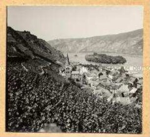 Bacharach