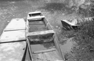 Sommertag am Altrhein