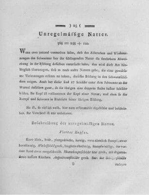 Unregelmässige Natter.
