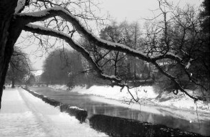 Donaueschingen: Brigach im Schlosspark