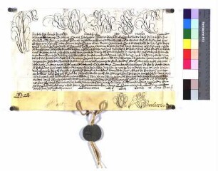 Papst Klemens XI.: "Provisio apostolica pro Joanne Christophoro a Freyberg".