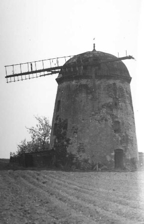 Falkenhain-Meltewitz. Turmholländer