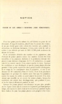 Notice sur la culture du café Libéria a Buitenzorg (Indes Néerlandaises)