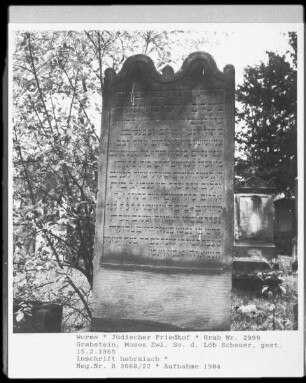 Grabstein von Moses Zwi, Sohn des Löb Scheuer (gestorben 1865.02.15)