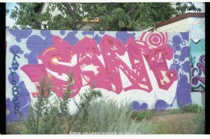 SANi