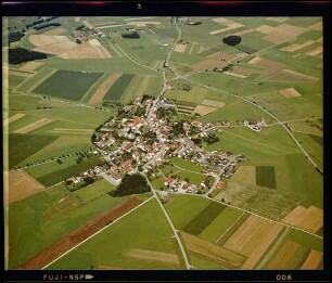 Bellamont
