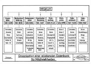 Organisation der relationalen Datenbank für Milchviehherden