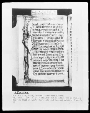 Psalter der Mechthild von Anhalt — Initiale A (udite) und Dreiviertelbordüre, Folio 52verso