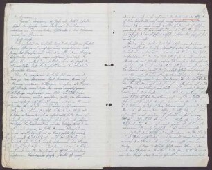 Vernehmung des Zeugen Hans Insam, Fernsprecher beim Freikorps Weilheim, über die Zustände bei der Überstellung von Landauer ins Zuchthaus Stadelheim und die Erschießung desselben