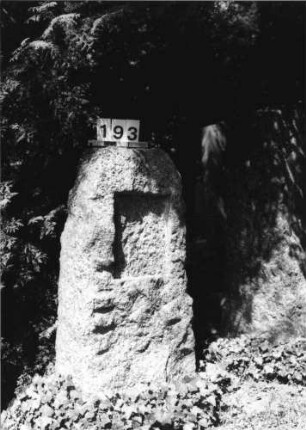 Grabstein 193 (Index: 100085279) Zustand: Schriftplatte entfernt Maße HxBxT: 110x50x32 cm Beschreibung: grob stelenhaft behauener Stein, Schriftplatte: Grabstein 193