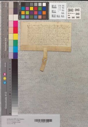 Revers des Balthasar Swencke, Osnabrücker Domherr, über die vom Abt Franz von Corvey empfangenen Lehngüter, die sein verstorbener Bruder Hermann vom Stift Corvey zu Lehen getragen hat.