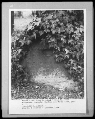 Grabstein von Hannele Levi, Ehefrau des Me'ir Levi
