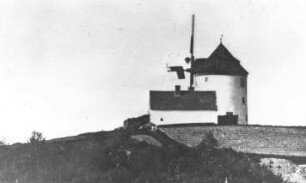 Neusalza-Spremberg. Holländermühle auf dem Stadtberg vor dem Brand 1888 (Aufnahme Karl Golbs), Repro, Ausschnitt