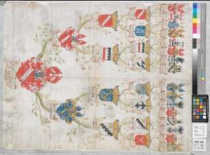 Proband: Haxthausen, Clara Elisabetha von; Vater: Haxthausen, Wulf von; Mutter: Hanxleden, Mechtild (Mechelt) Sophia von: Fröndenberg, Stift