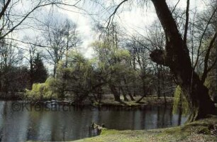 Wulfsdorf: Gutspark: Teich