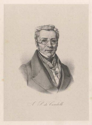 Augustin-Pyramus de Candolle