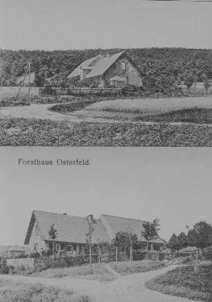 Forsthaus (Forsthaus, Ziegelmauerwerk); Allendorf, Forststraße 3