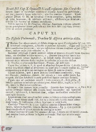 Caput XI: De Fistula Pulmonali, Trachea et aspera arteria dicta