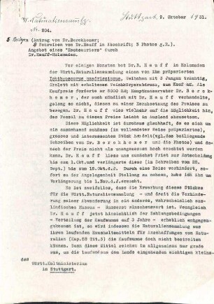 Schreiben Rauther an das Kultministerium mit der Bitte um Unterstützung des von Hauff zum Kauf angebotenen Ichtyhosaurierpräparats mit Hauterhaltung