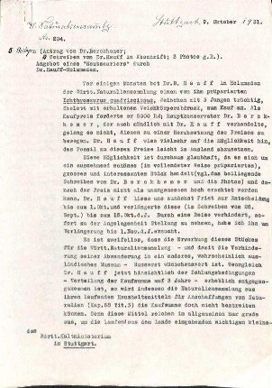 Schreiben Rauther an das Kultministerium mit der Bitte um Unterstützung des von Hauff zum Kauf angebotenen  Ichtyhosaurierpräparats mit Hauterhaltung