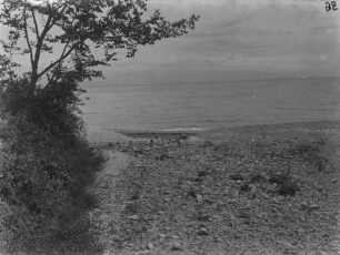 Flussmündung : Blick über den Strand bei Ebbe zur Mündung eines Flusses.