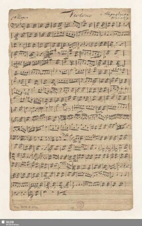 Violono
