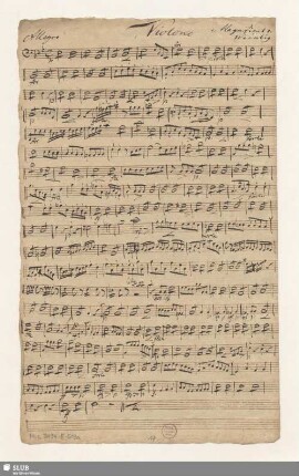 Violono