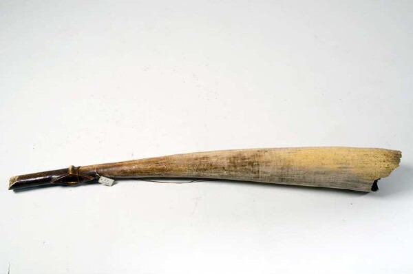 Ivory blowing horn