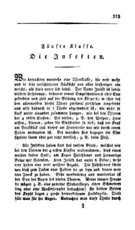 Fünfte Klasse. Die Insekten
