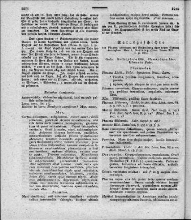 Naturgeschichte von Phasma cornutum und Beschreibung einer neuen Gattung Ascalaphus (Linn. Trans. XIV. I. p. 137)