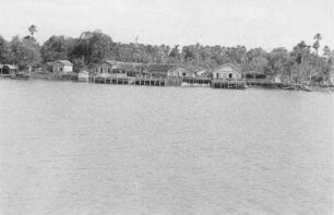 Reisefotos Brasilien. Blick vom Passagierschiff auf ein bewaldetes Ufer mit Hütten