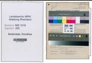 Entnazifizierung Dorothea Bodenstab , geb. 14.08.1905 (Kaufmaennische Angestellte)