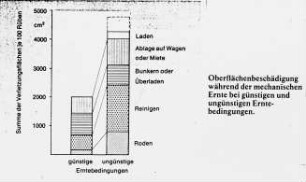 Oberflächenbeschädigung während der mechanischen Ernte bei günstigen und ungünstigen Erntebedingungen