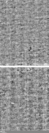 Lilienschild + ICH / KB = S.5/6+25/26