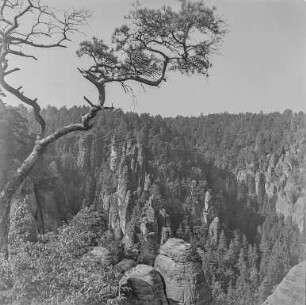 Bastei : Sächsische Schweiz, Rathener Gebiet. Blick von der Basteibrücke