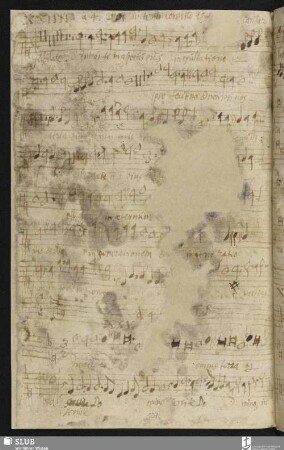 [Cesare, Giovanni Martino:] Jubilate Deo
