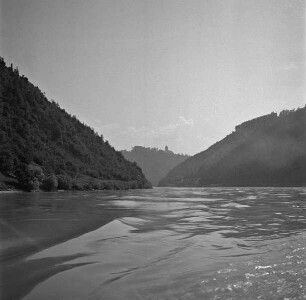 Blick auf die Donau bei Neuhaus an der Donau