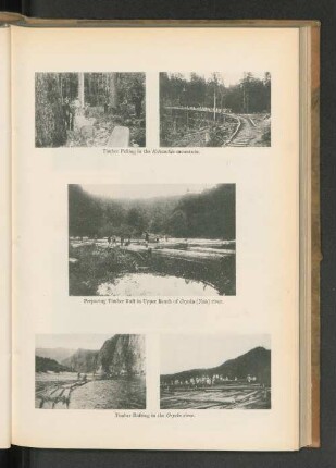 Timber Felling in the Keisanchin mountain.