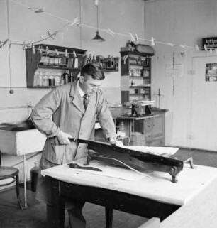 Sächsische Landesbildstelle. Photographische Abteilung. Walter Möbius an der Papierschneidemaschine, um 1937