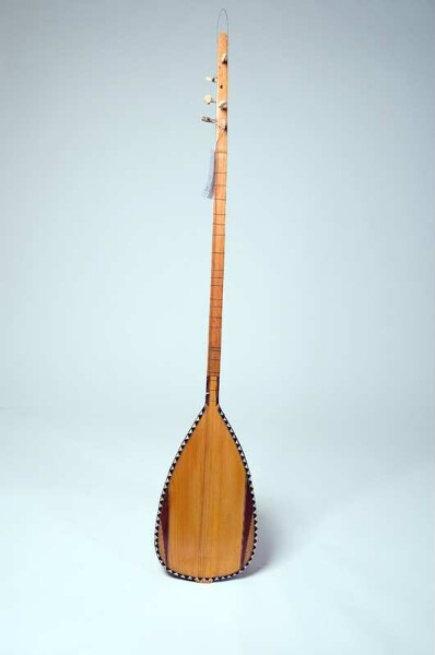 Bowl-necked lute