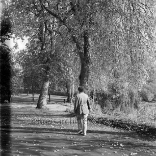 Rundwanderweg: Neuhöfer Teich: Baumlehrpfad: Spaziergängerin: rechts Teich, trockengelegt