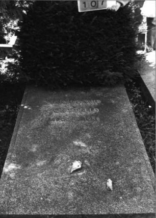 Grabstein 107