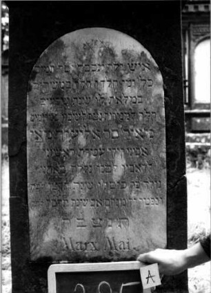 Grabstein 295 [Nir S. 192 Nr. 17.16]: Grabstein 295A [Nir S. 192 Nr. 17.16]