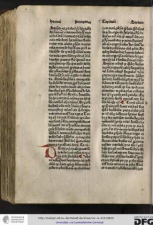 Tertium principale gaudium extrinsecum erit visio corporalis delectabilissima...