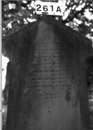 Grabstein 261 (Index: 100085141) Maße HxBxT: 154x70x21 cm Beschreibung: Stele, profi. Sockel, giebelart. Abschl. , rechteck. Schriftfeld eingetieft: Grabstein 261A (Nachholaufnahme)