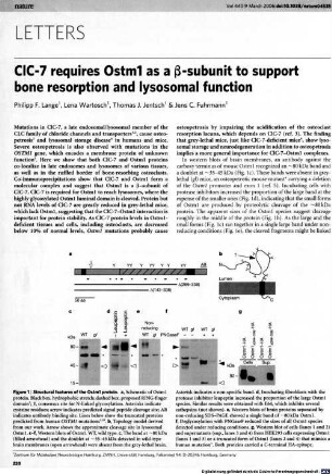 ClC-7 requires Ostm1 as a beta-subunit to support bone resorption and lysosomal function