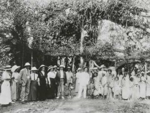 Indien. Gruppenbild mit Touristen der Hapag unter einem Mammutbaum, wohl in einer Parkanlage