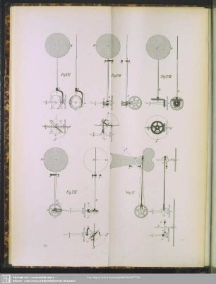 Fig. XVI - Fig. XX